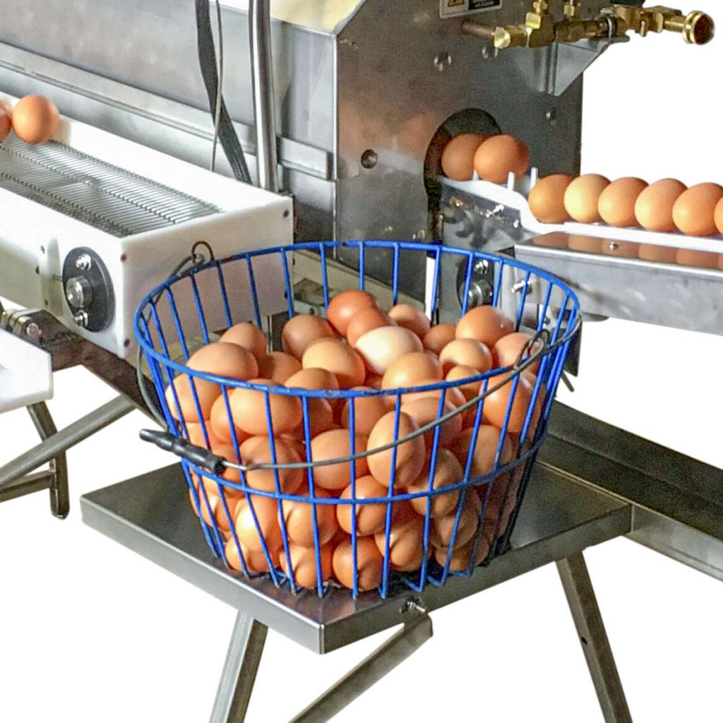 Interhatch - The Monarch E150 Egg washer is designed for