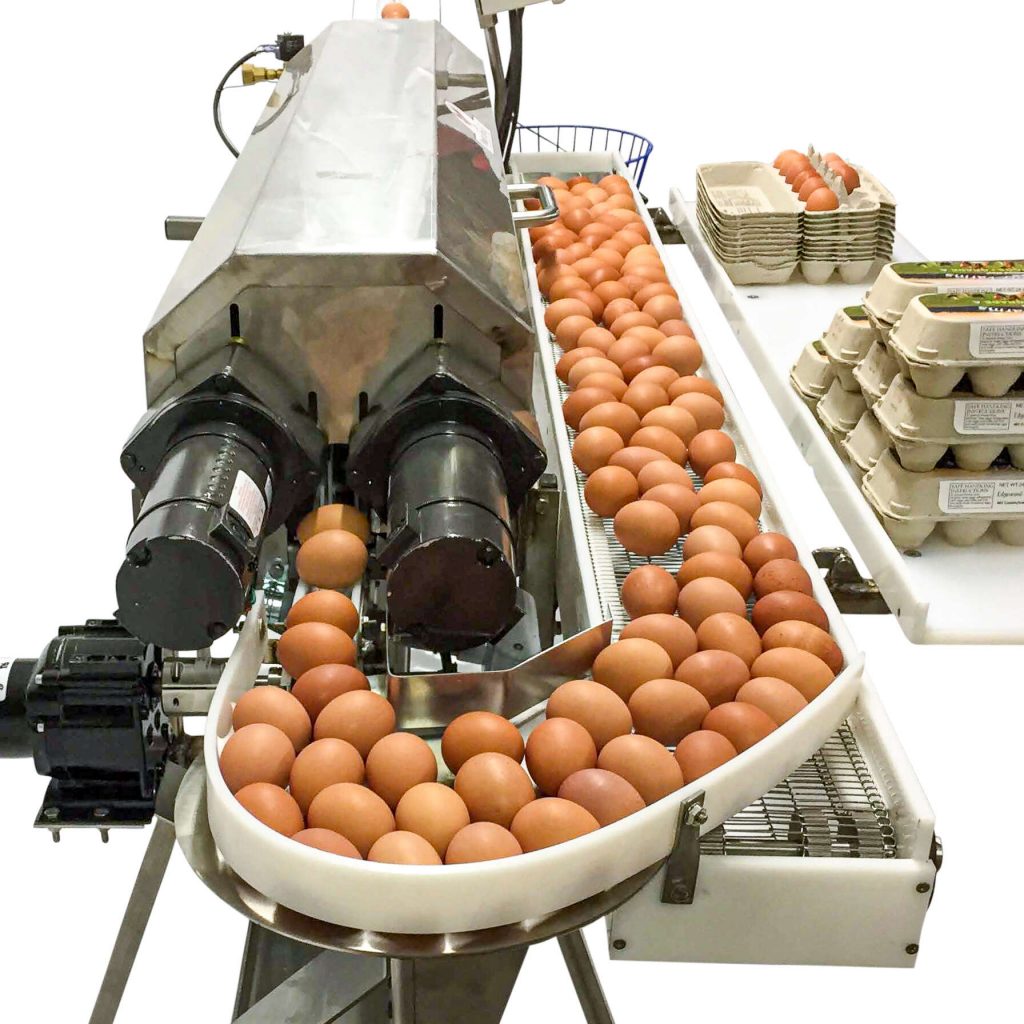 Interhatch - The Monarch E150 Egg washer is designed for
