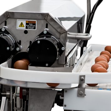 Turntable & Side Conveyor Bring eggs to front of machine for easy 1-person packing. Give eggs time to dry.
